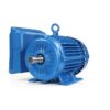 Motor Bifásico 2 HP 4 Polos WEG