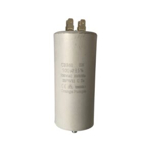 Capacitor • 100 (μF)